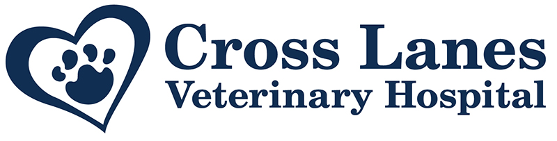 Cross Lanes Veterinary Hospital logo